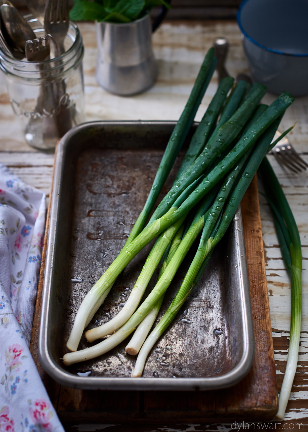 Spring Onion.jpg