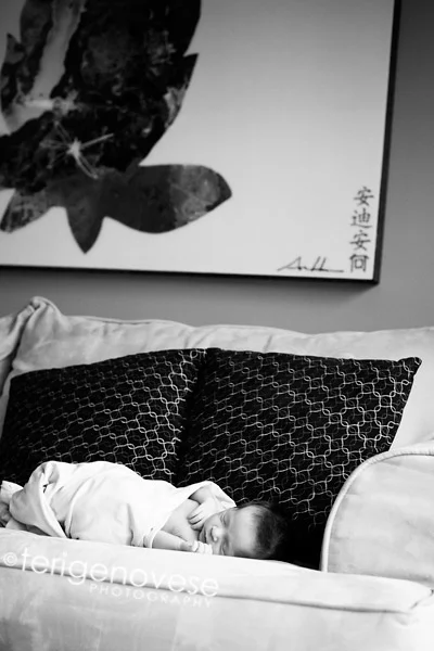 los angeles newborn photographer