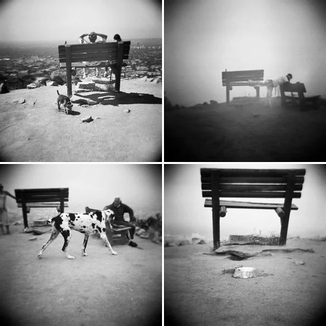 runyon canyon bench photography | hollywood, california