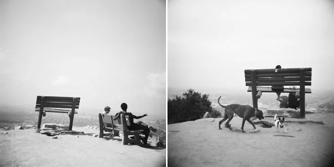 runyon canyon bench photograph - hollywood, california
