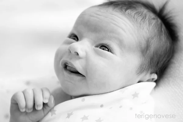 los angeles baby photographer