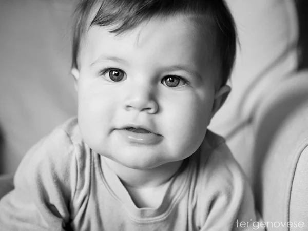grand rapids children's photographer, west michigan child photography