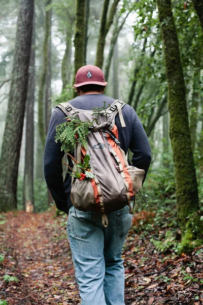 Santa Cruz, CA Redwood Forest - Hiking Photograph