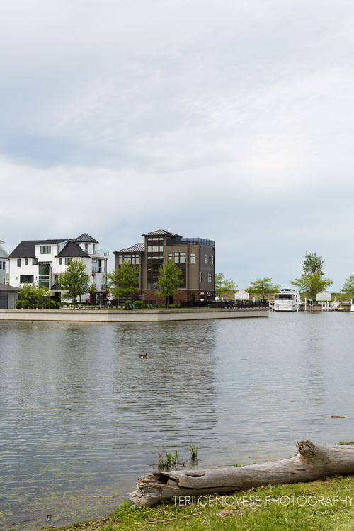 New-Buffalo_002_web.jpg