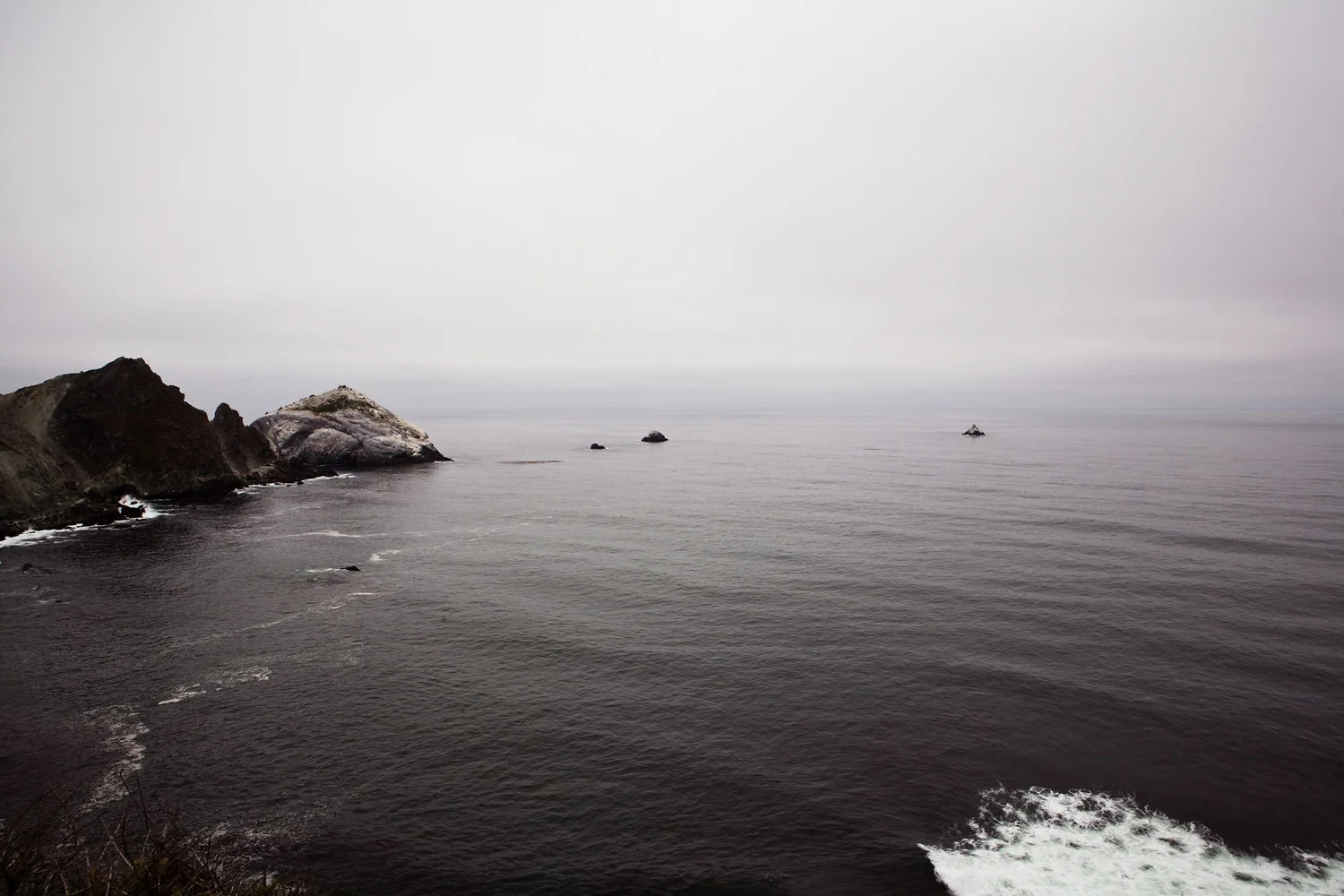 _MG_6550.jpg