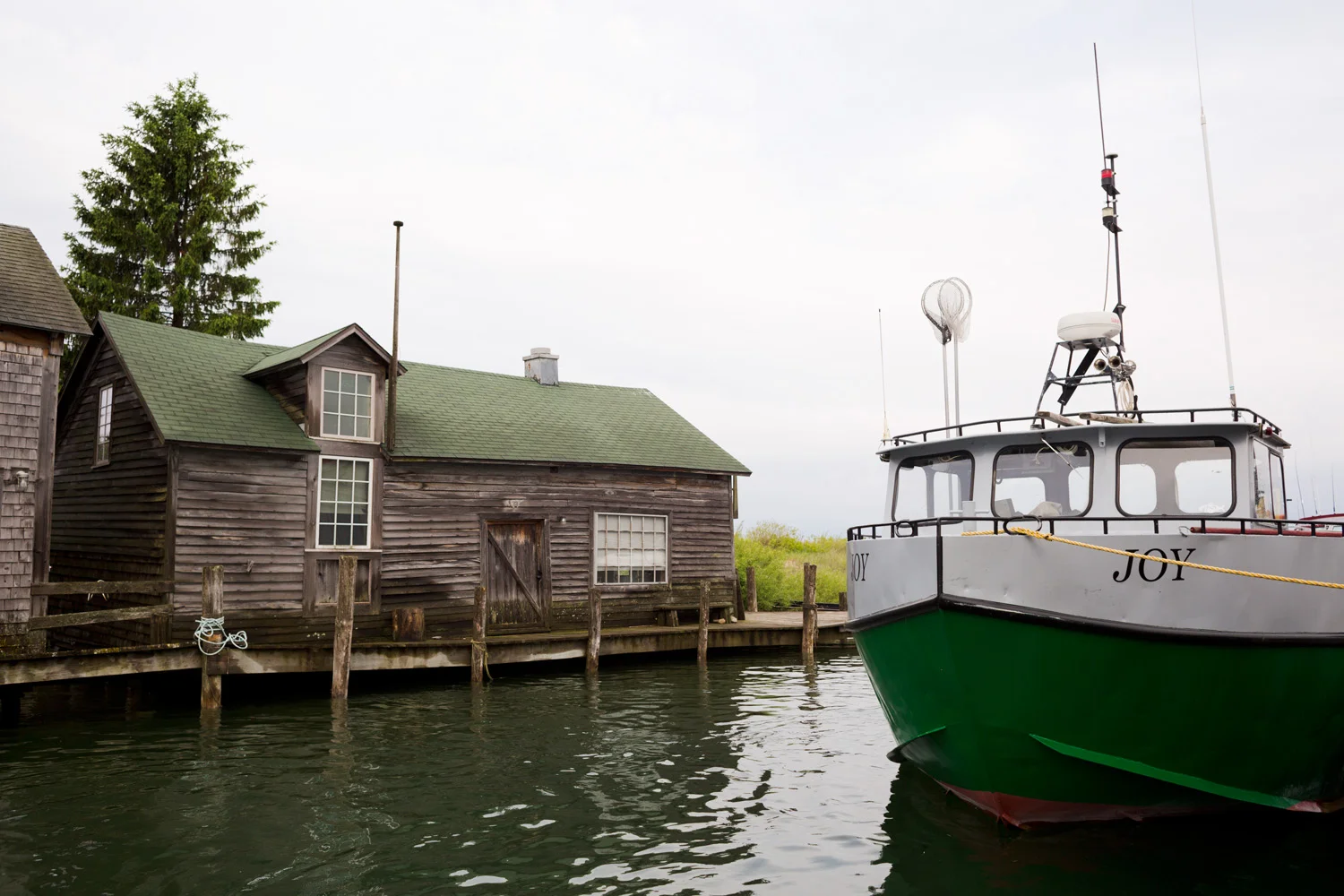 CarlsonsFish_006_web.jpg