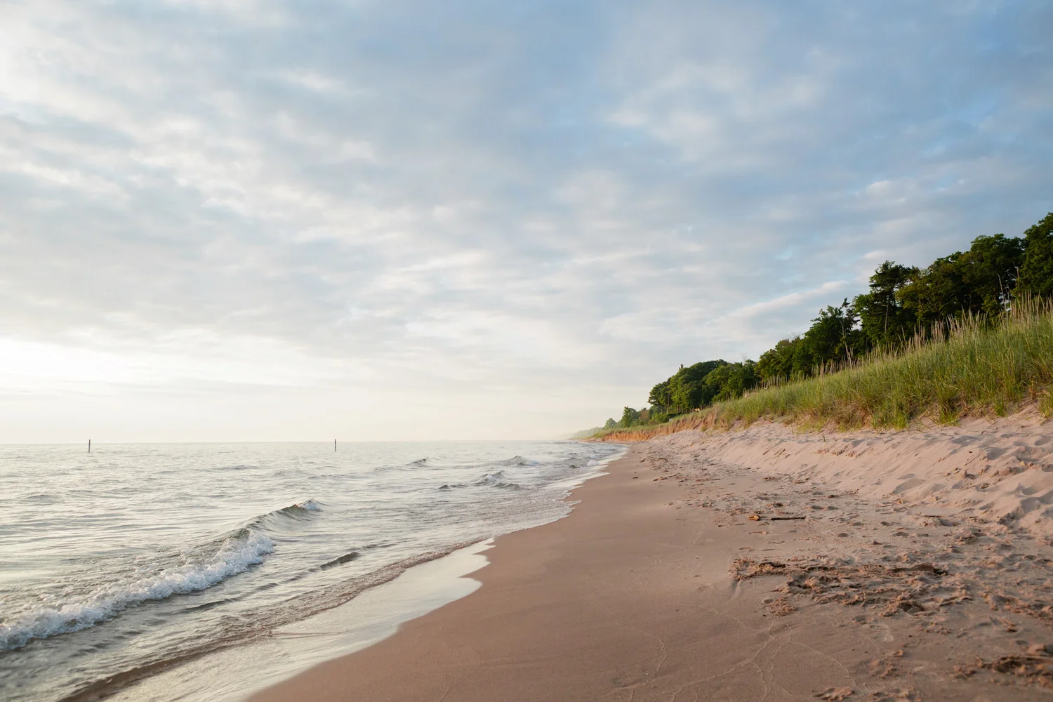 Saugatuck_T3A8440_web.jpg