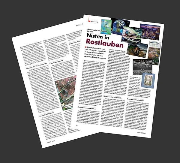 Rezension_Blueling2016-LJ-11_2015_Auszug_small.jpg