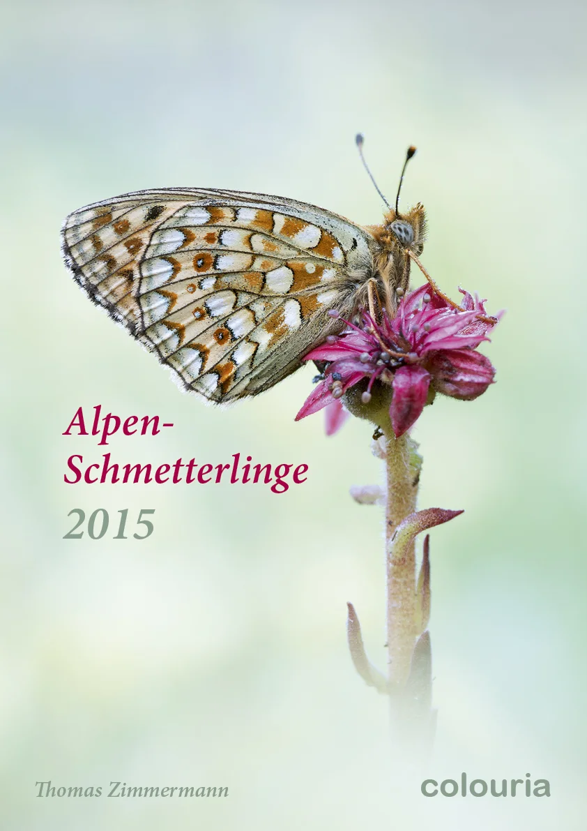 Dauth_Schmetterlinge_2015_korrigiert.jpg