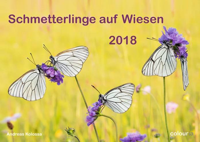 Schmetterlinge_2018_OK_6cm_sRGB_Titel.jpg