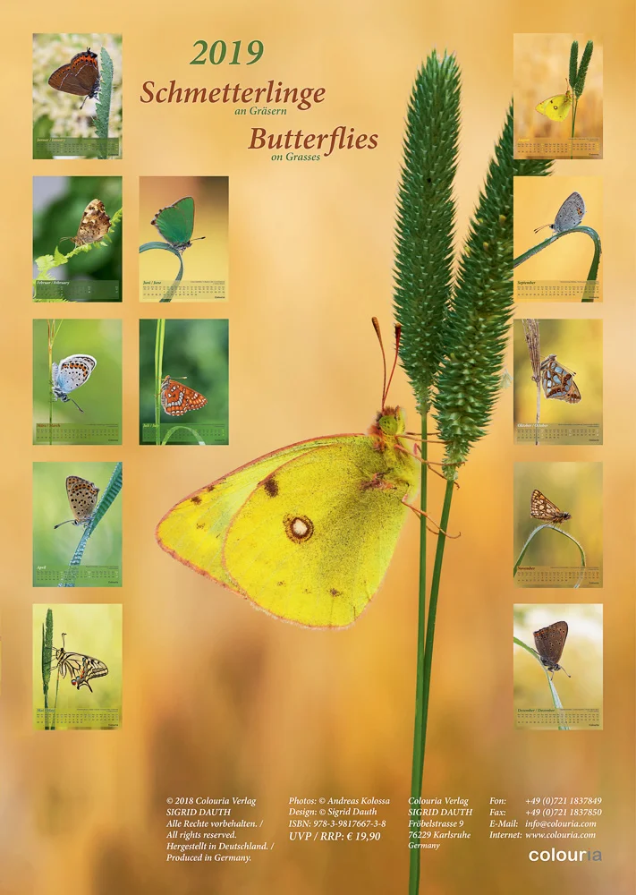 Schmetterlinge_2019_Rueckseite_Colouria_8.10.2018.jpg