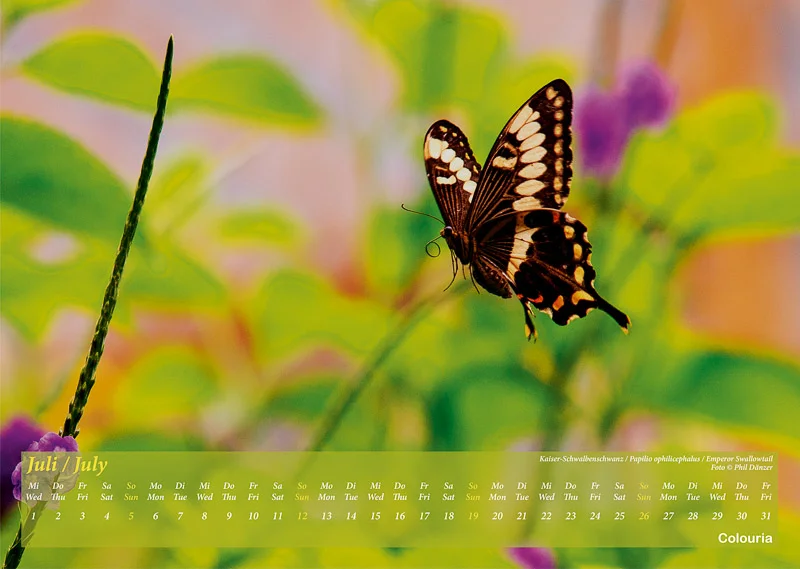 Schmetterlinge_2020_Colouria_srgb_29.06.2019_8.jpg
