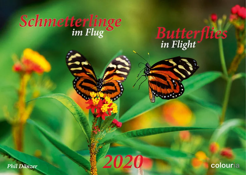 Schmetterlinge_2020_Colouria_srgb_29.06.2019_1.jpg