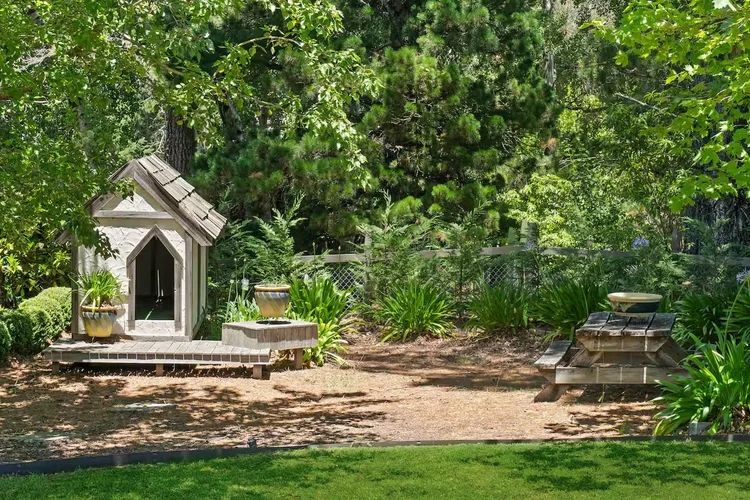 Garden path and lawn beneath tall trees