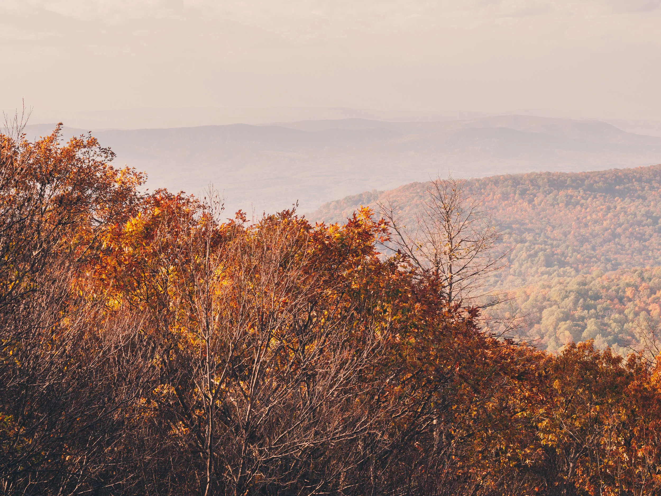 Autumn in Shenandoah