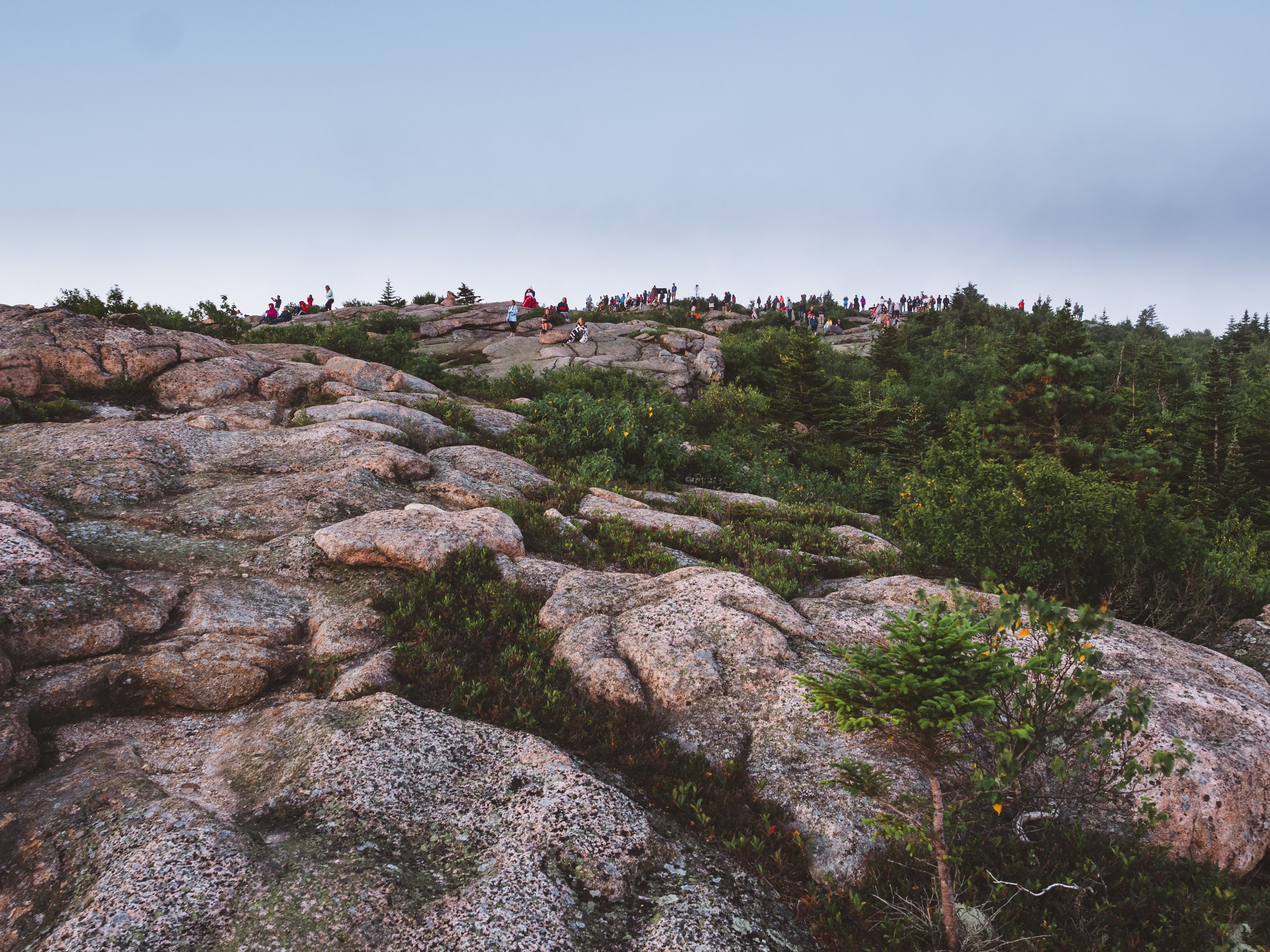 Crowds await the day's first light.