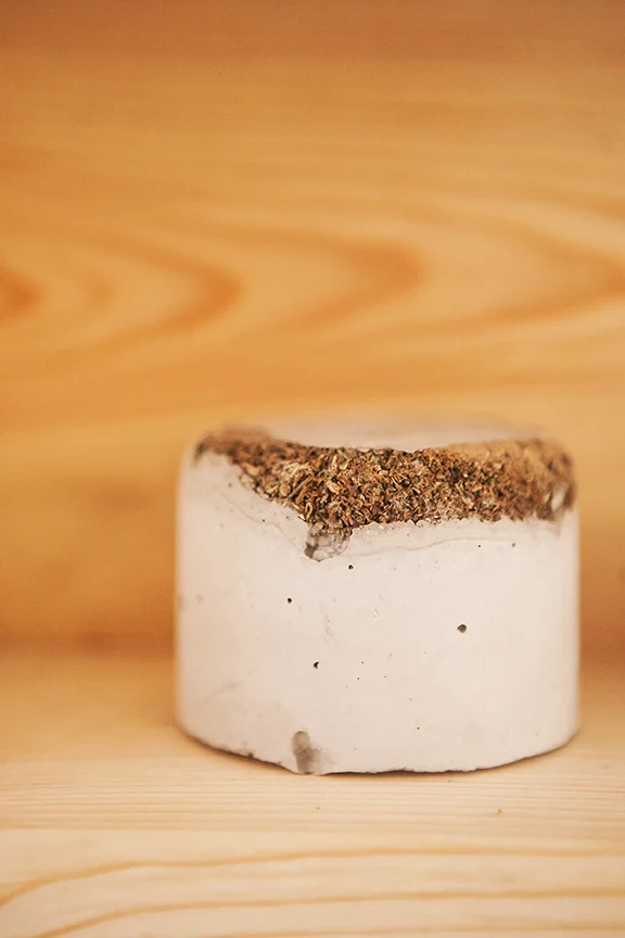 Studio Still Life Jar (detail) Concrete, debris Available