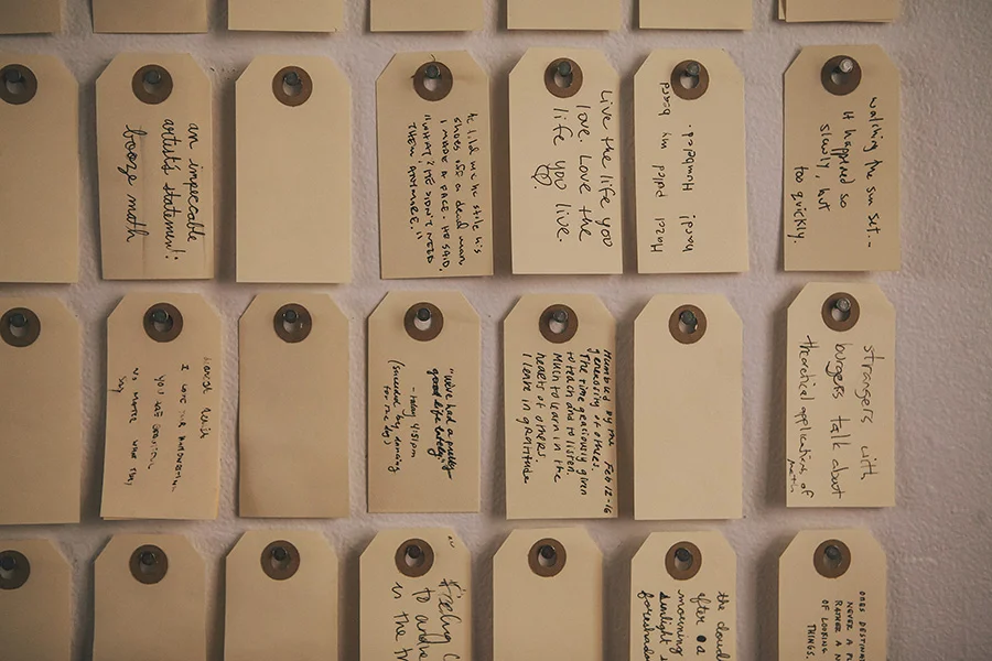 Interactive Installation