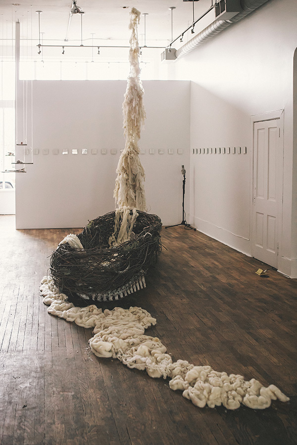 Willow Boat and Wool