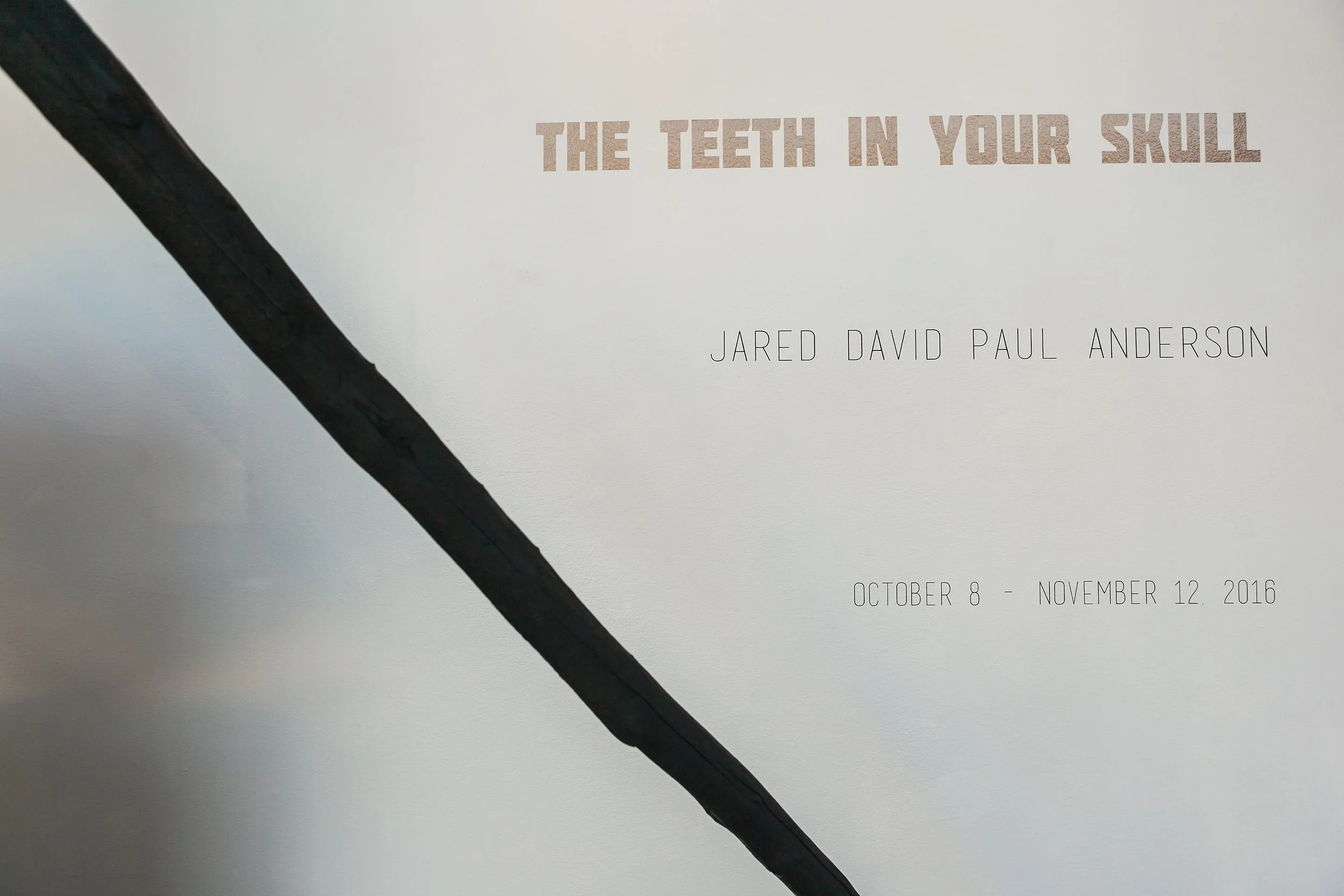 The Teeth In Your Skull - Jared David Paul Anderson
