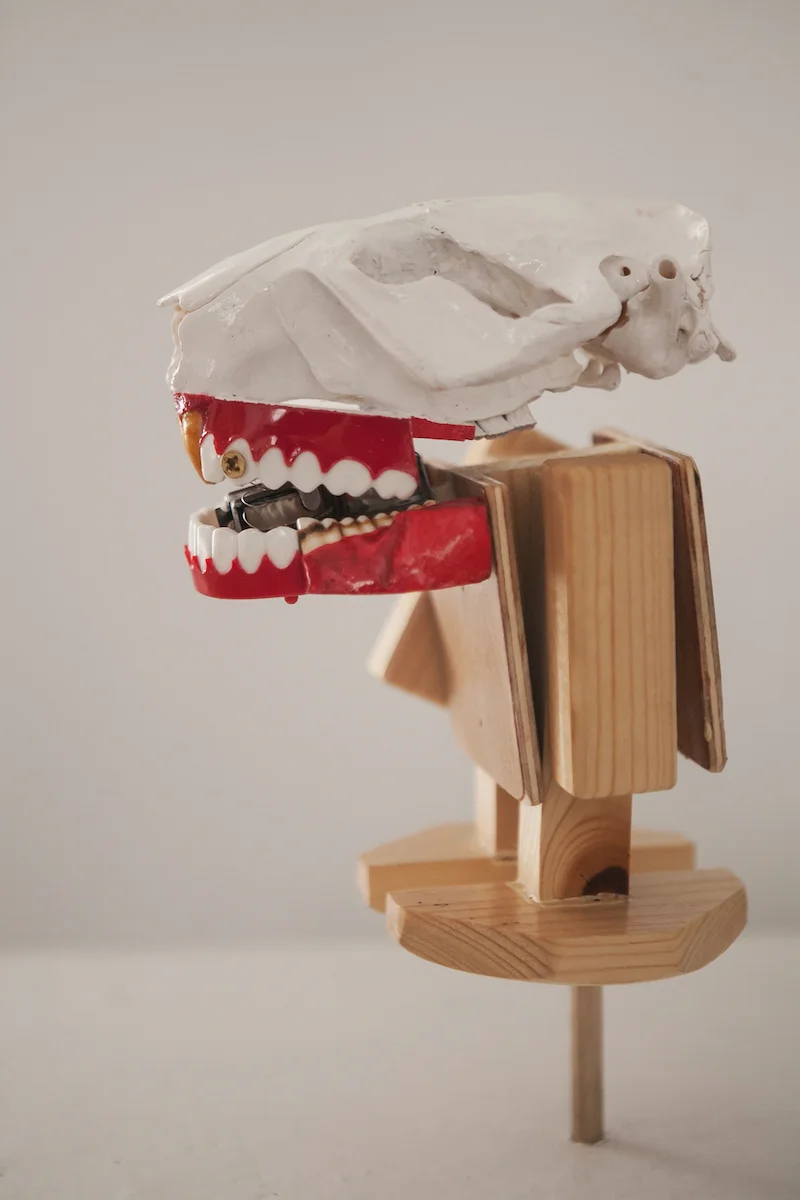 Good Teeth Smile