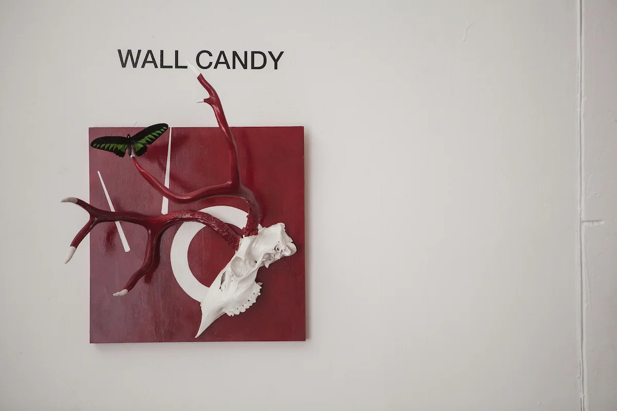 Wall Candy - SOLD