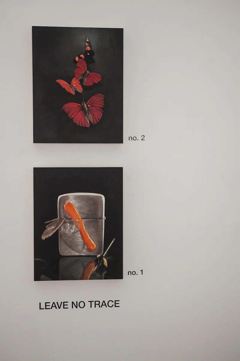 Leave No Trace no. 1 & no. 2 