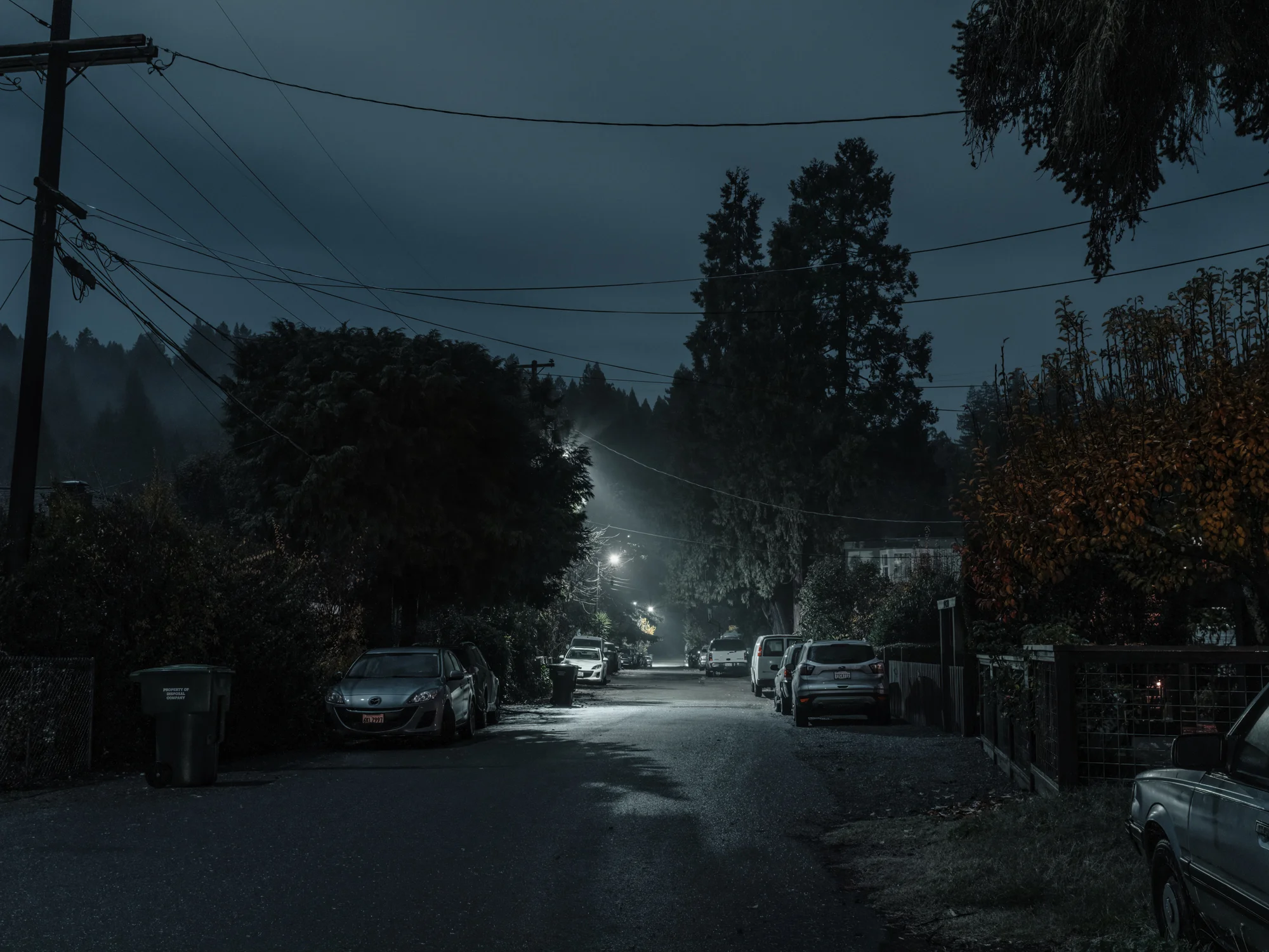 View Down Eastern Ave, Guerneville, CA, 2018 Archival Pigment Print Hahnemuhle Fine Art Paper Limited Edition Fine Art Print: 30” x 40” (Edition of 2) - $1600 24” x 32” (Edition of 3) - $1200 18” x 24” (Edition of 5) - $800 Contact to Purchase