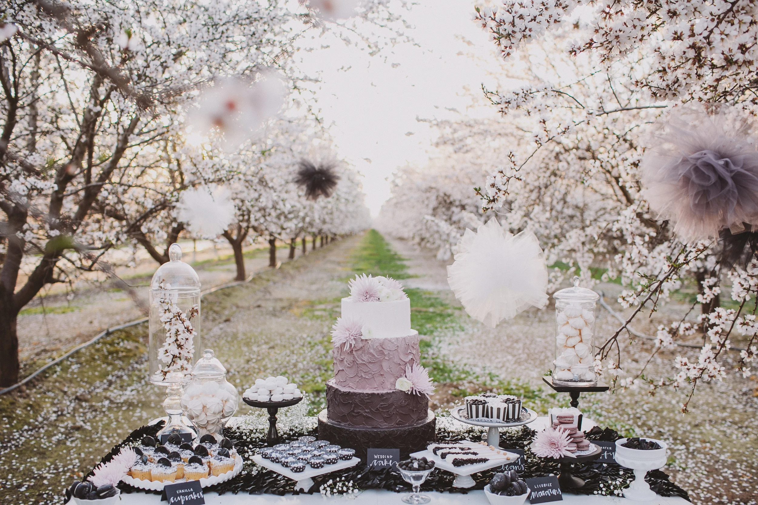 dreamy almond orchards { styled shoot — Vanessa Noel Events