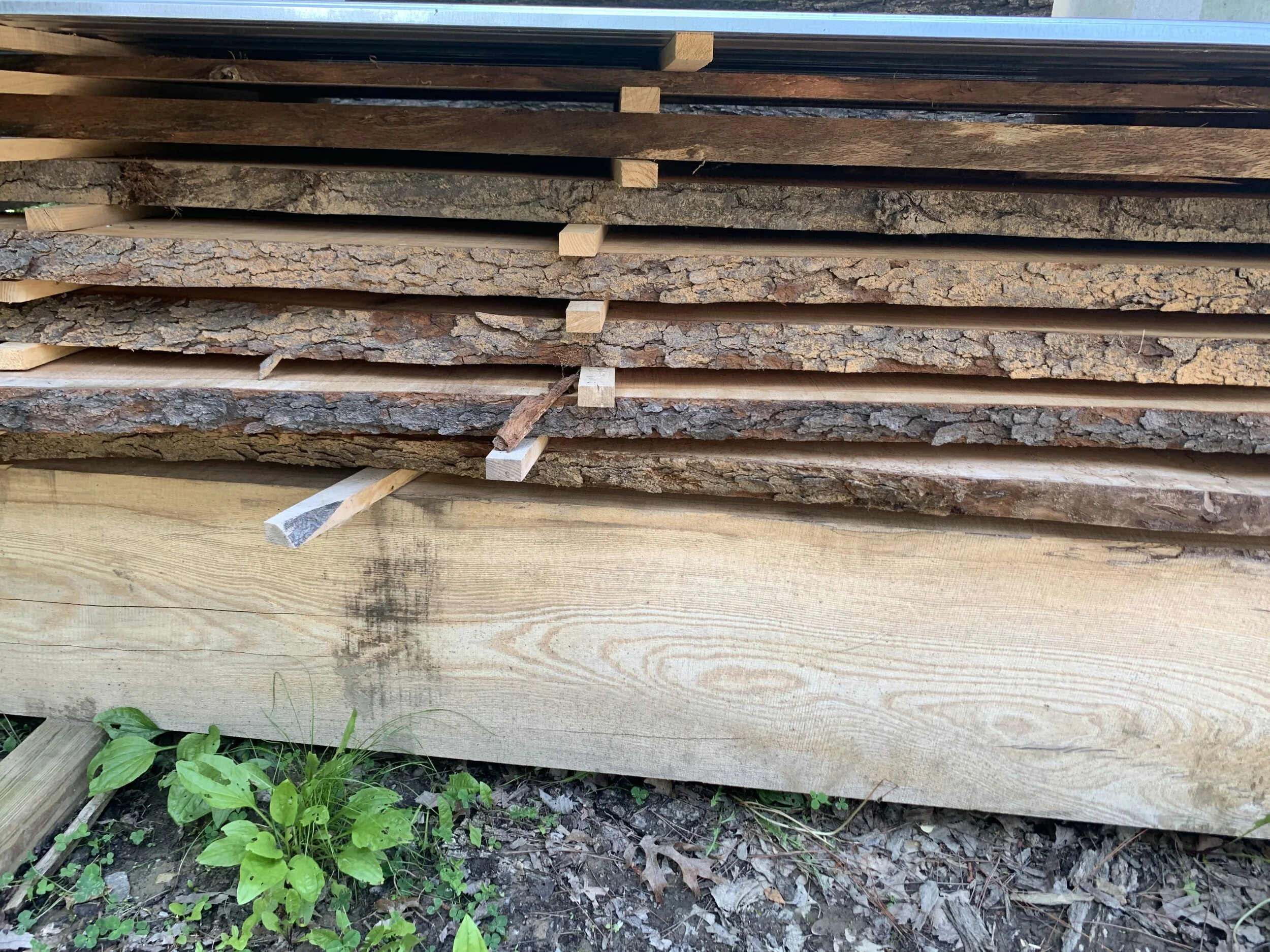 slab of wood.jpg