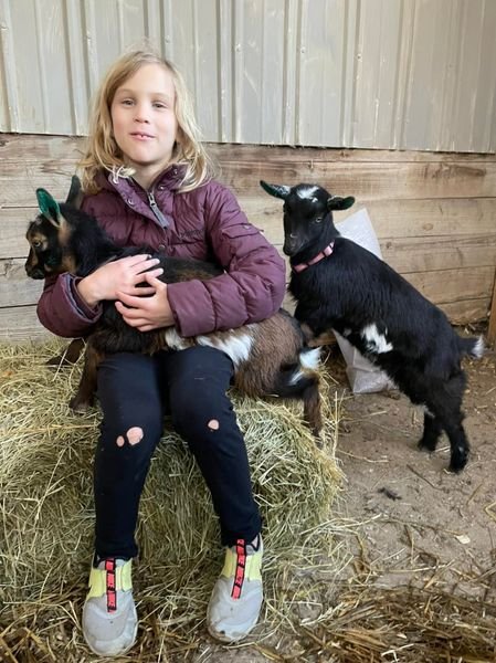 Ally and baby goats.jpg