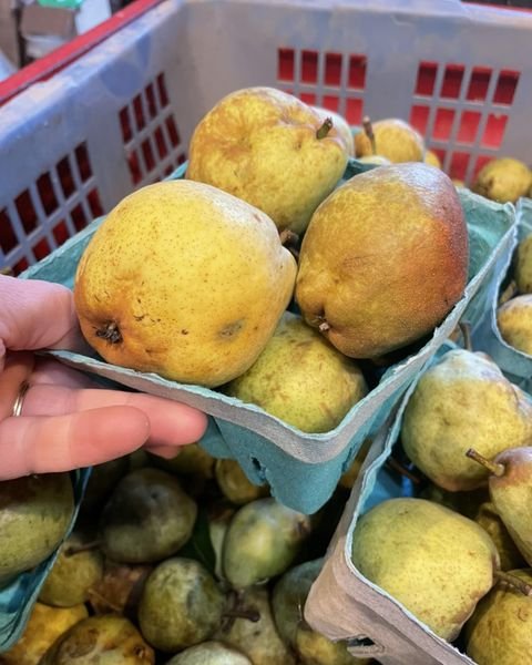 Pears in quart.jpg