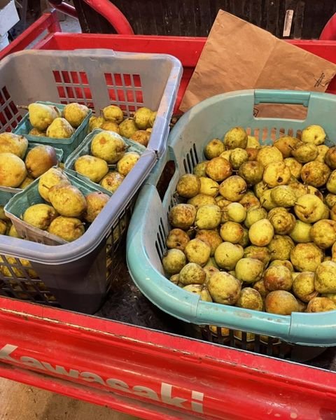 baskets of pears.jpg