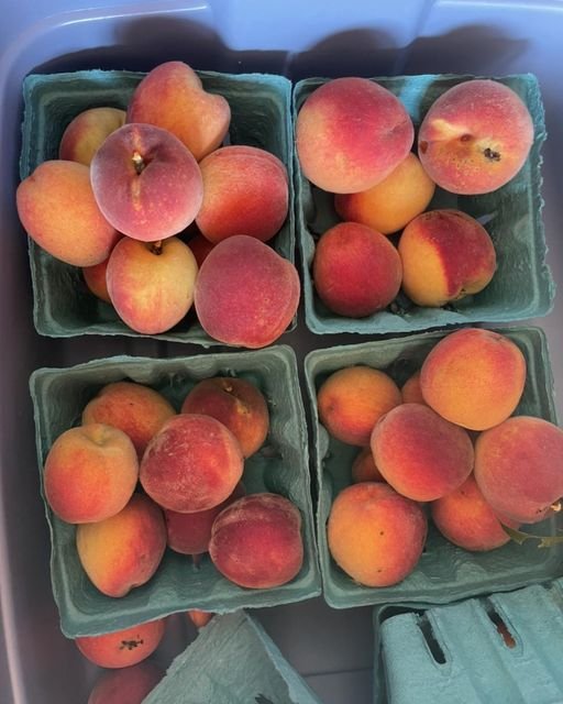 peaches in quarts.jpg
