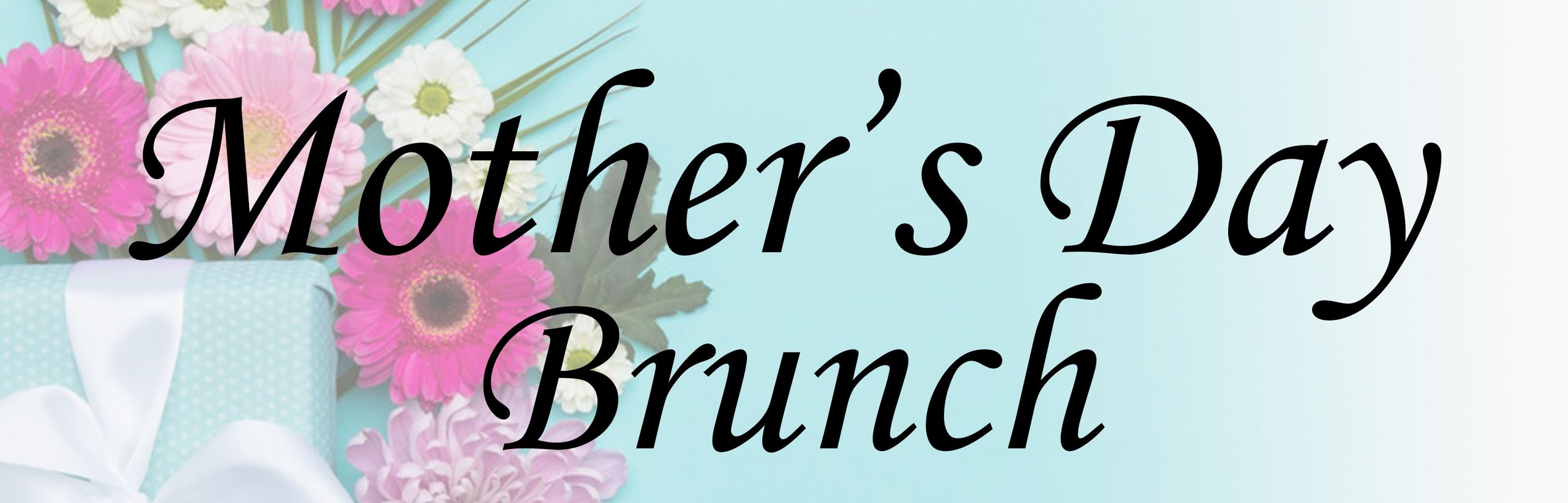 MD Web Banner photo.jpg