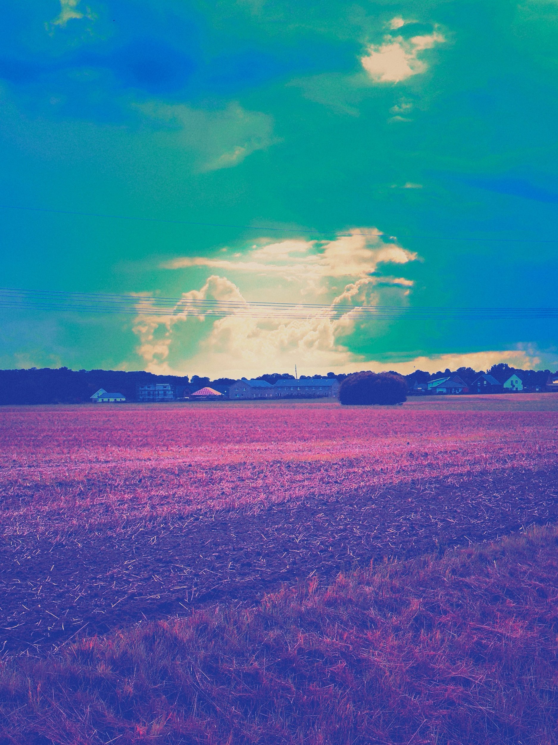 IMG_4862 Edited.jpeg