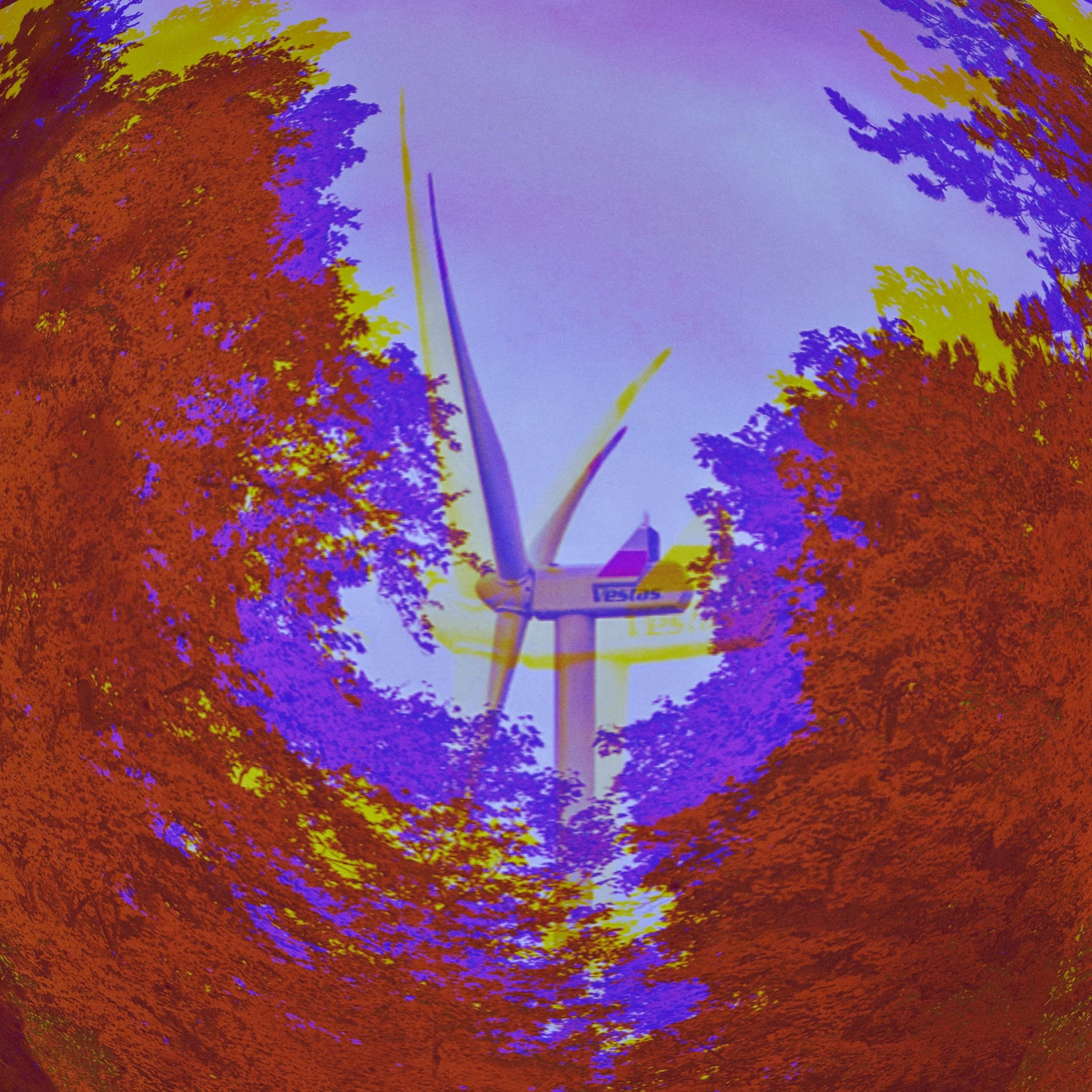 6BC09521 Edited.jpeg