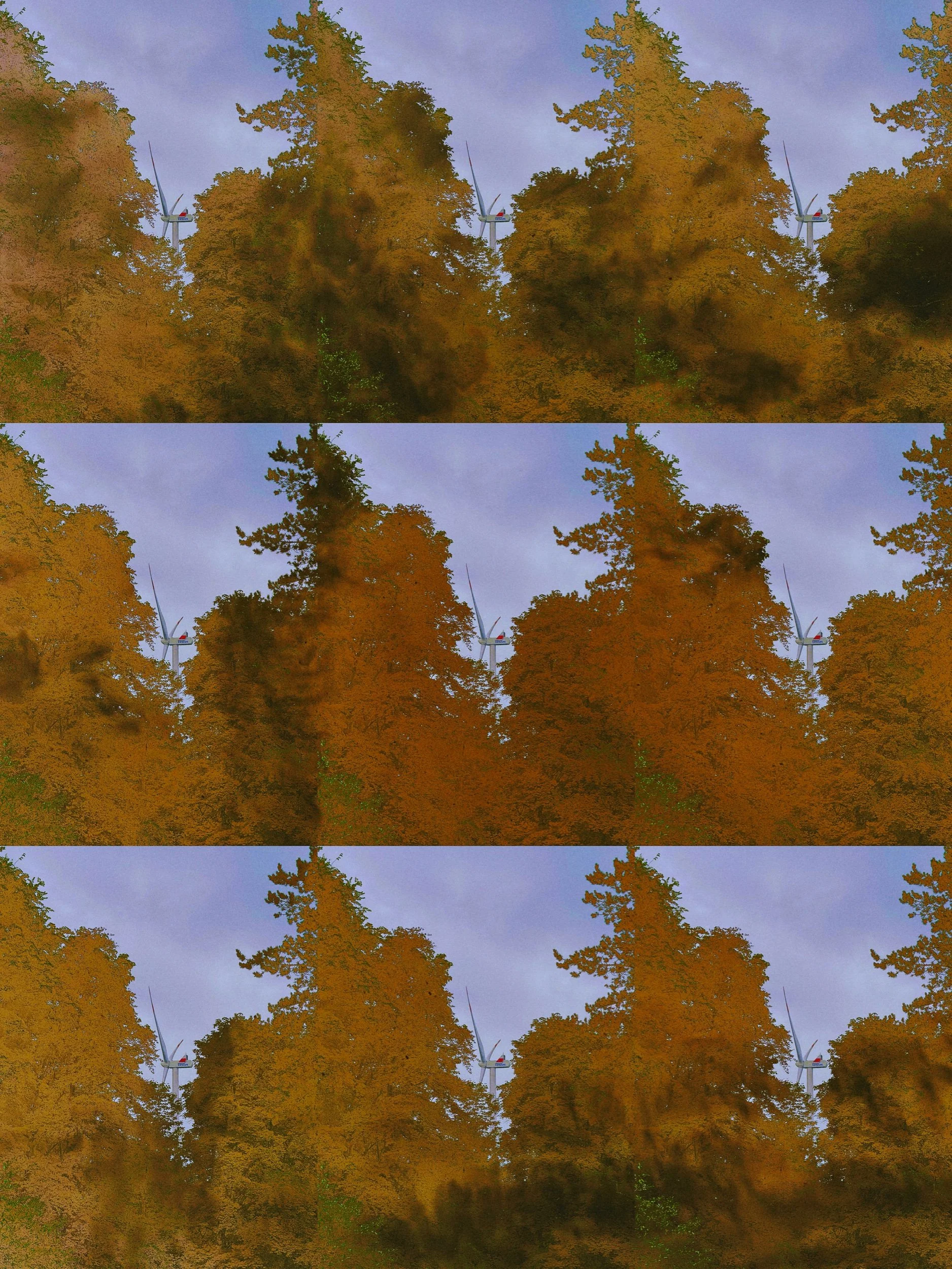 831B75D0 Edited.jpeg