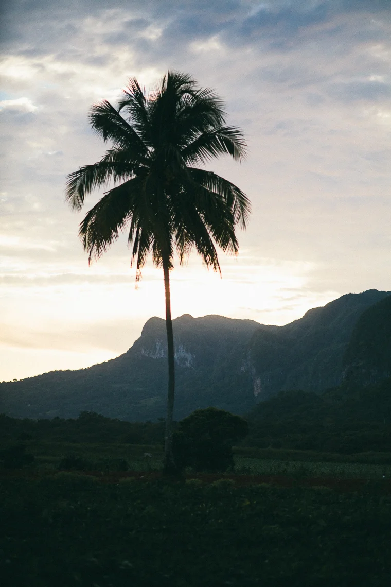 8 untitled-9080.JPG