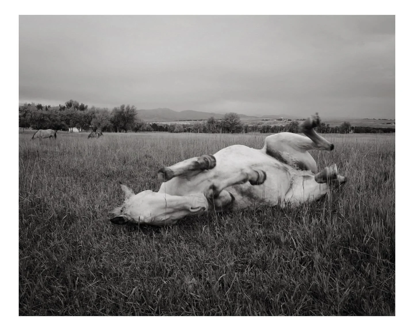 Untitled.
#leicaphoto