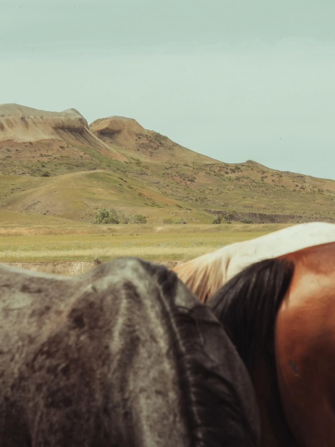 Go limping. 
Go with questions. 
Go while the pieces are still coming together. 
Just go.