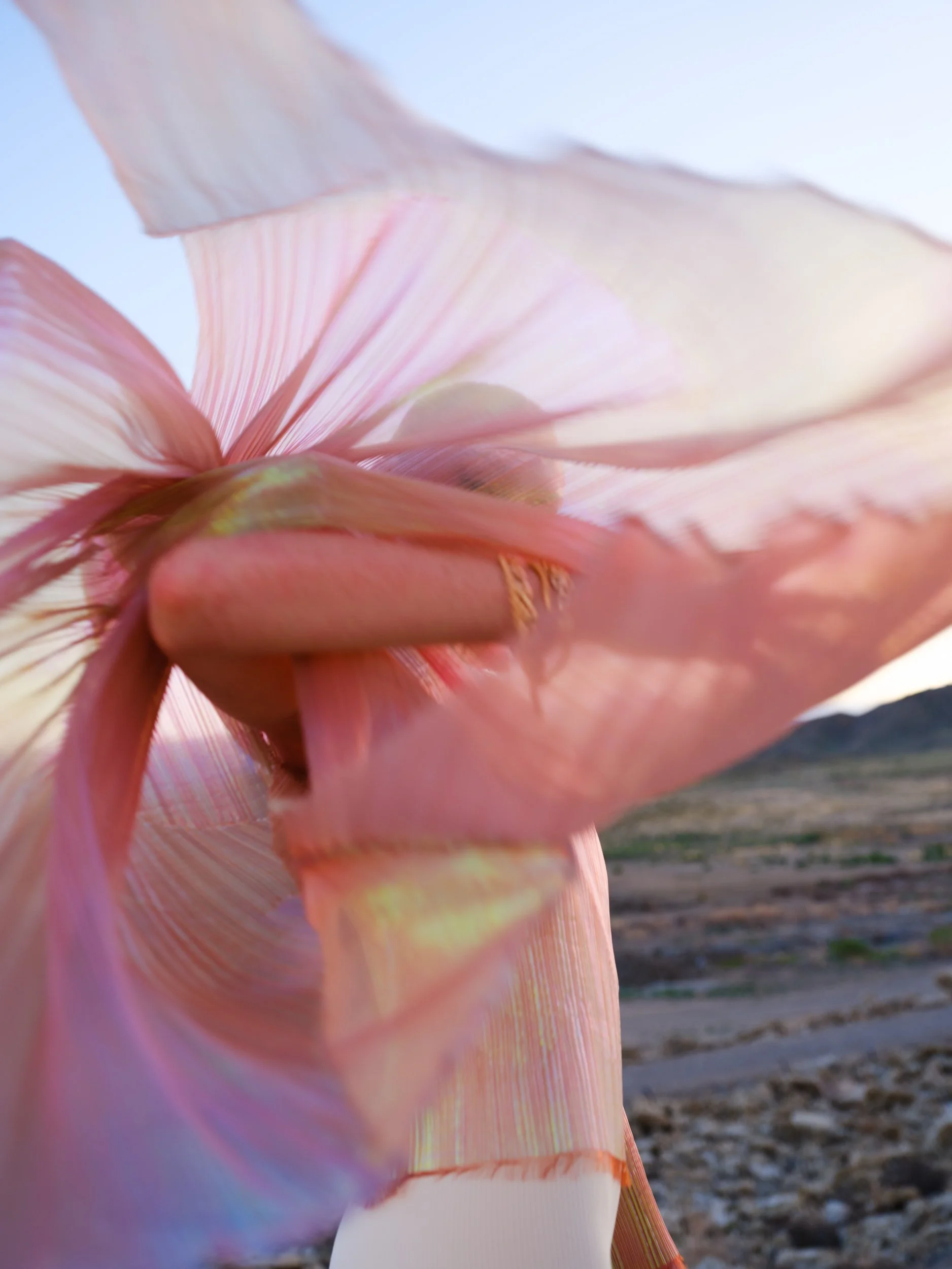 DSCF3792.jpg