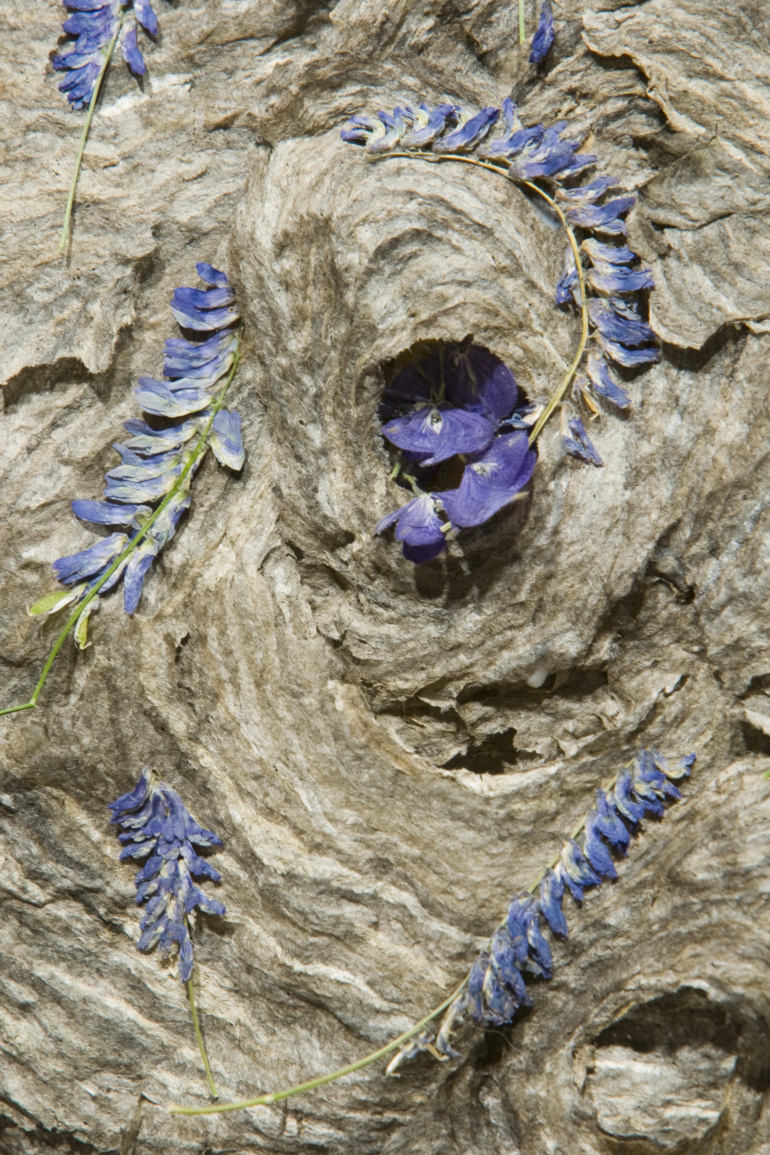 fabric with flowers.JPG