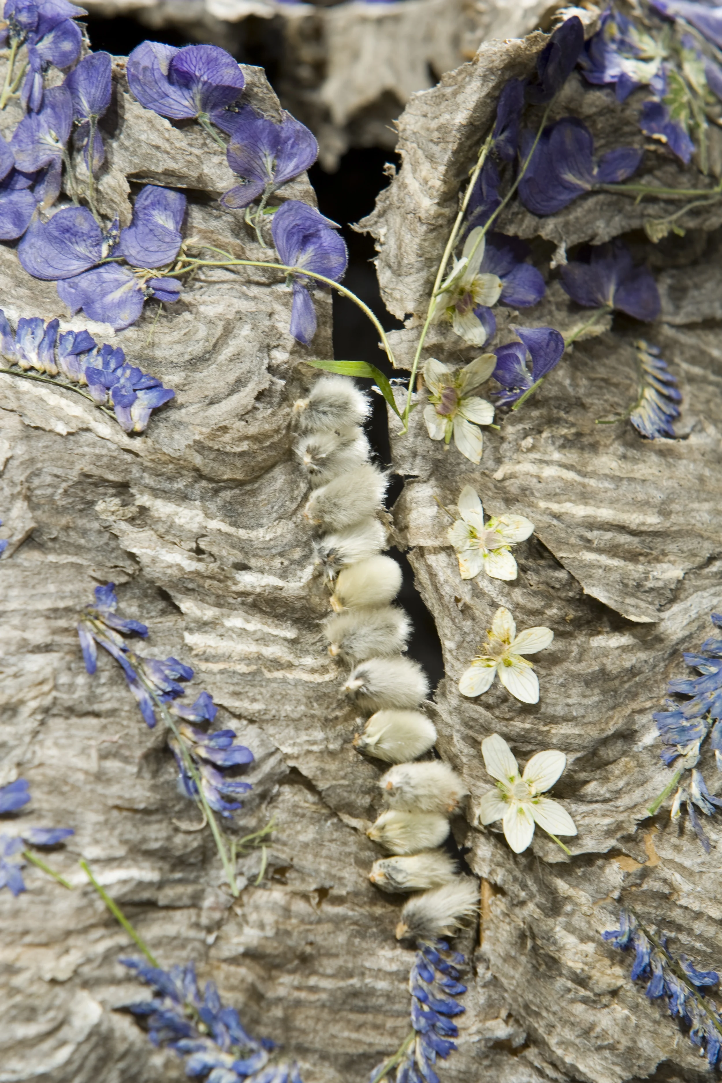 P.Willow buttons.JPG