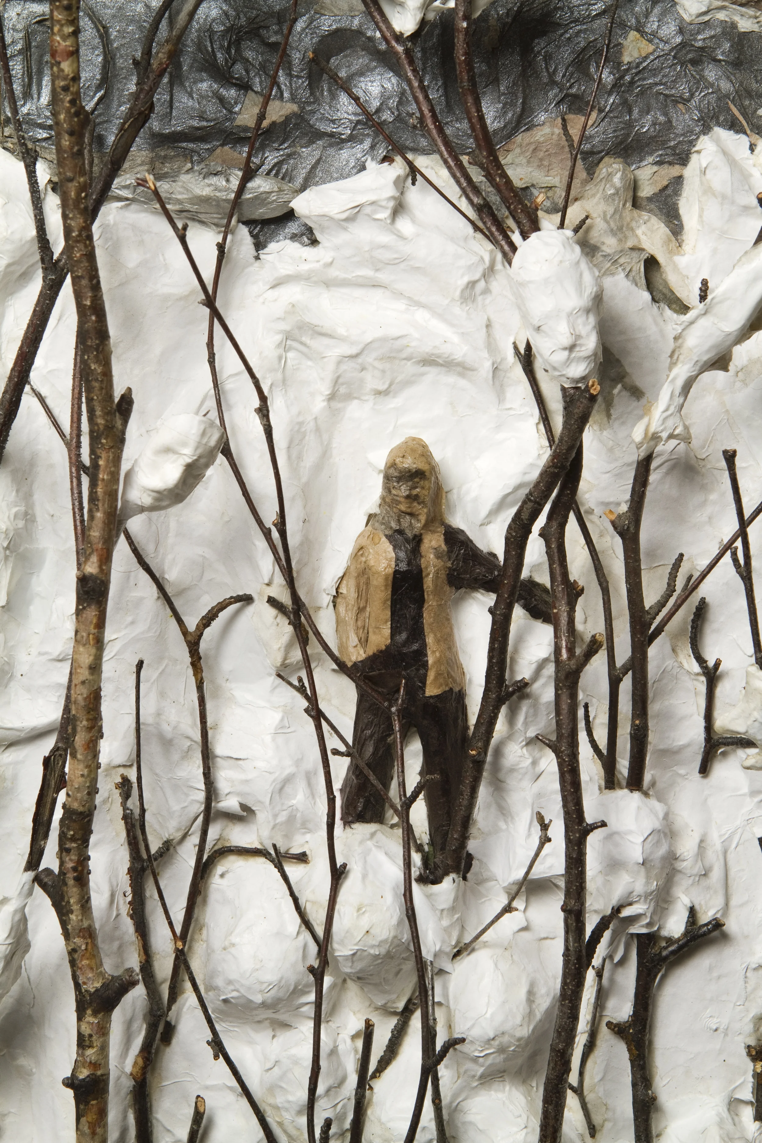 detail woods.JPG