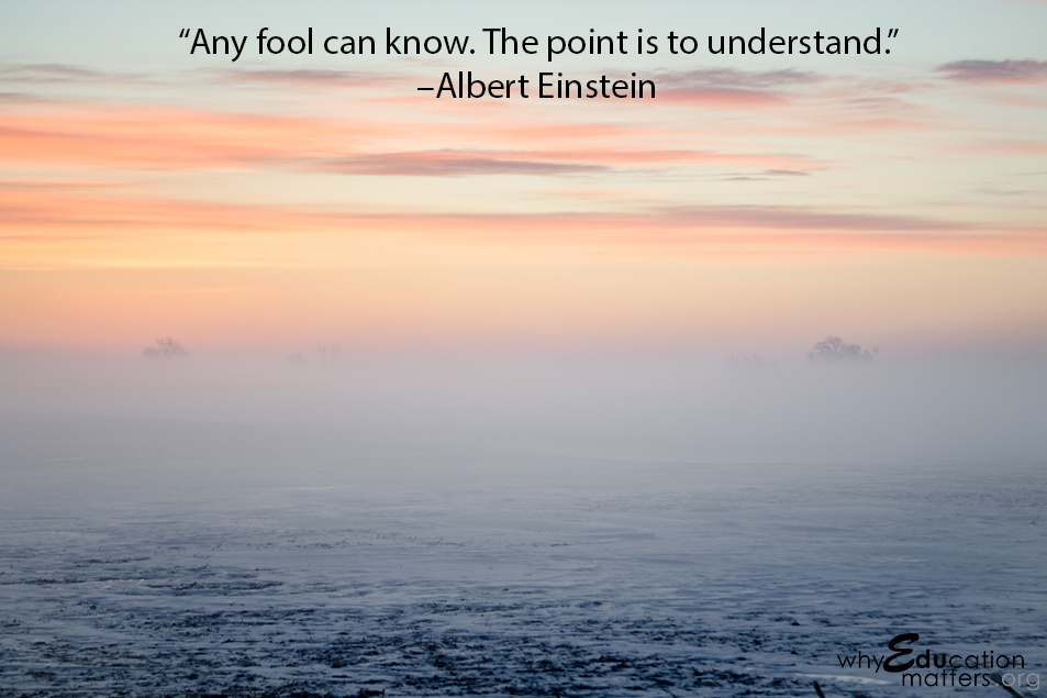 “Any fool can know. The point is to understand.”  –Albert Einstein