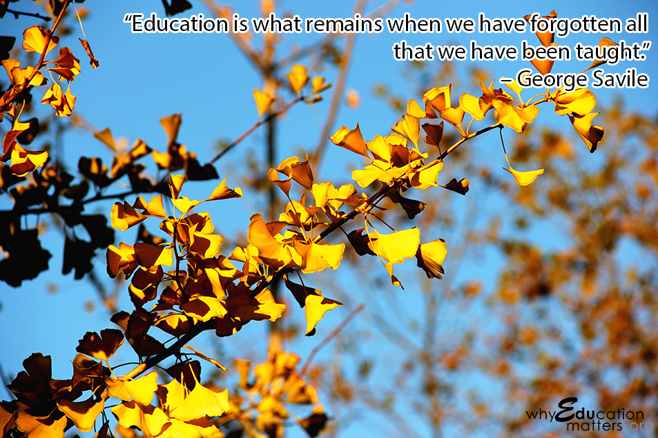 “Education is what remains when we have forgotten all that we have been taught.” – George Savile