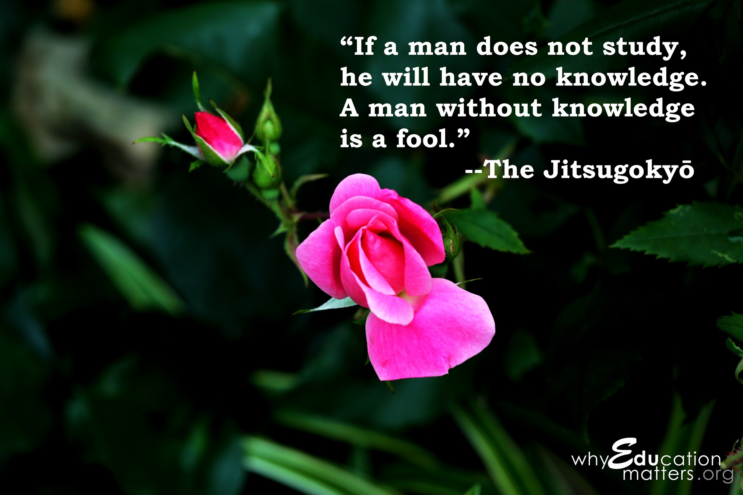 “If a man does not study, he will have no knowledge. A man without knowledge is a fool.” --The Jitsugokyō 
