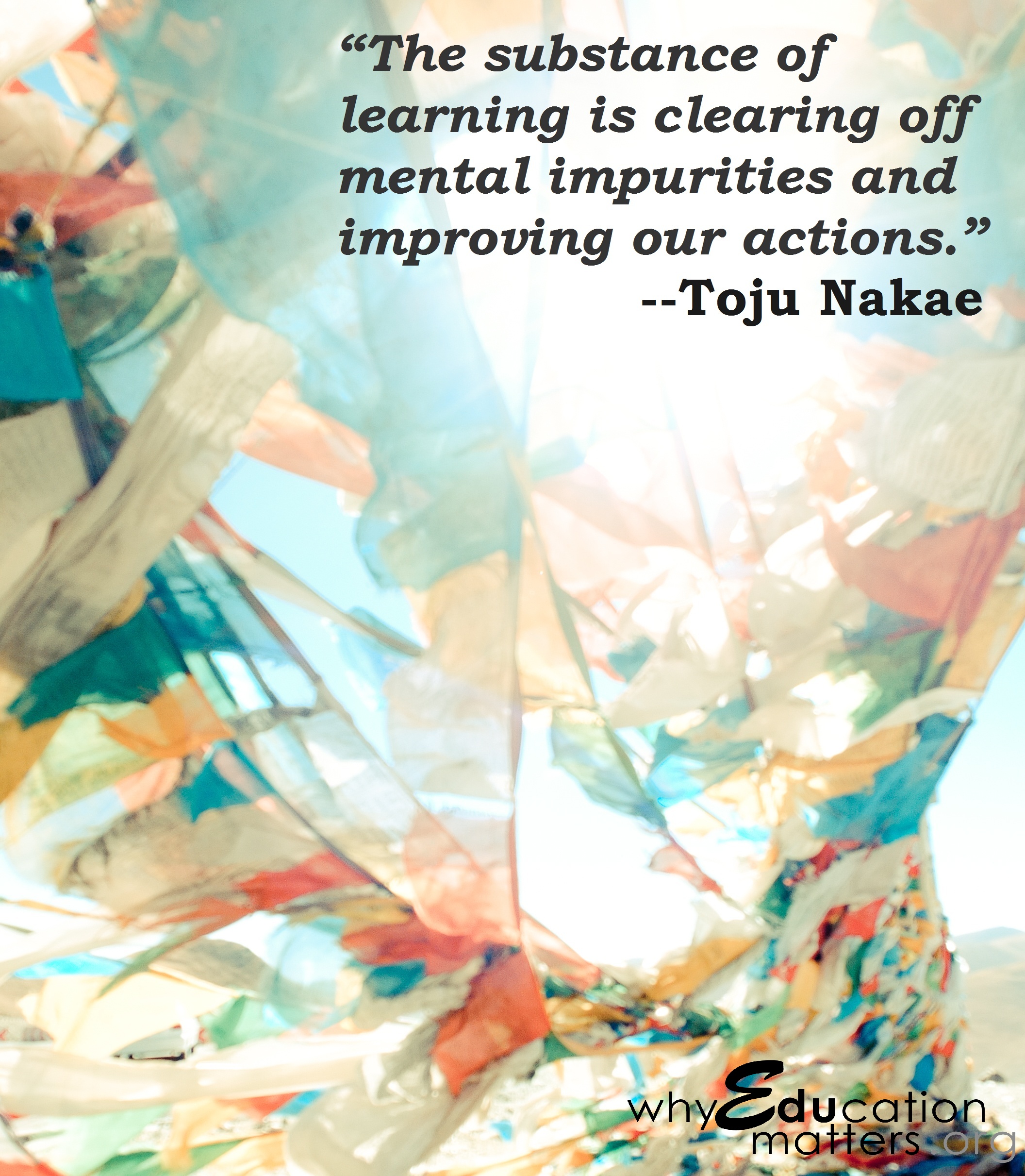 “The substance of learning is clearing off mental impurities and improving our actions.” --Toju Nakae 