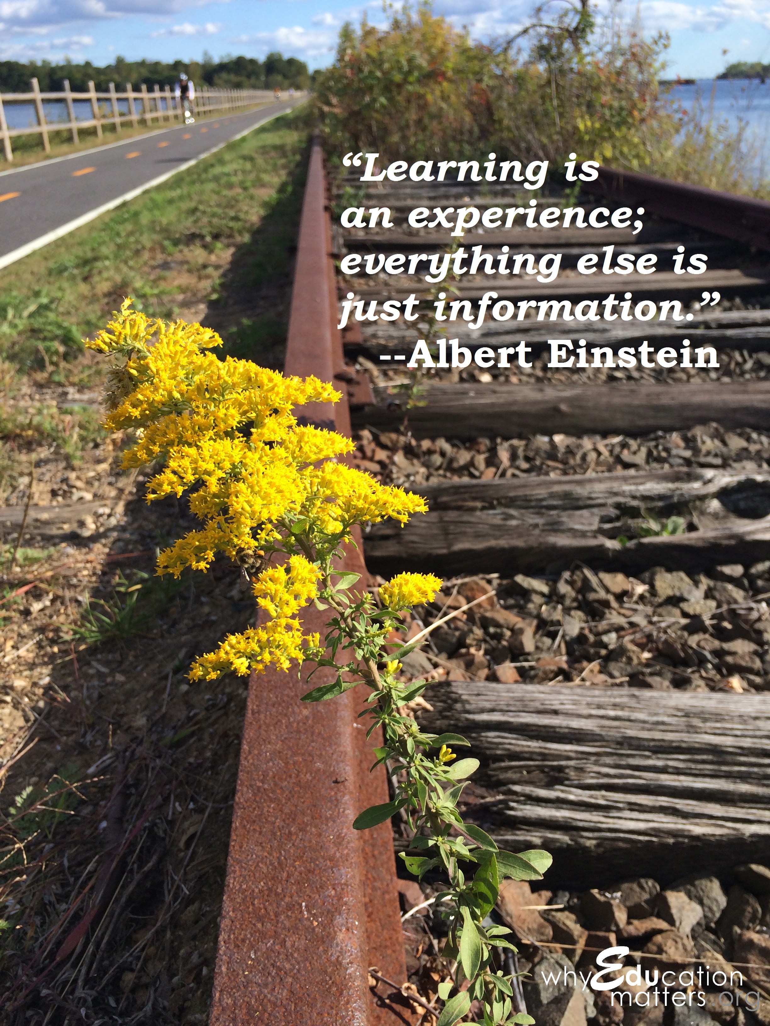 “Learning is an experience; everything else is just information.” --Albert Einstein